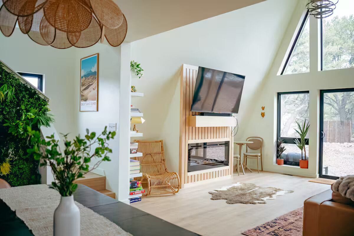 Televisor intel·ligent, llar de foc, videojocs i llibres 