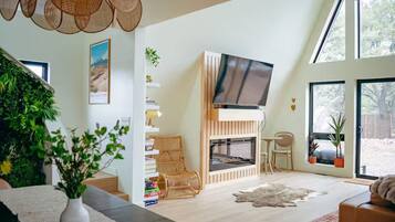 Smart TV, fireplace, video games, books