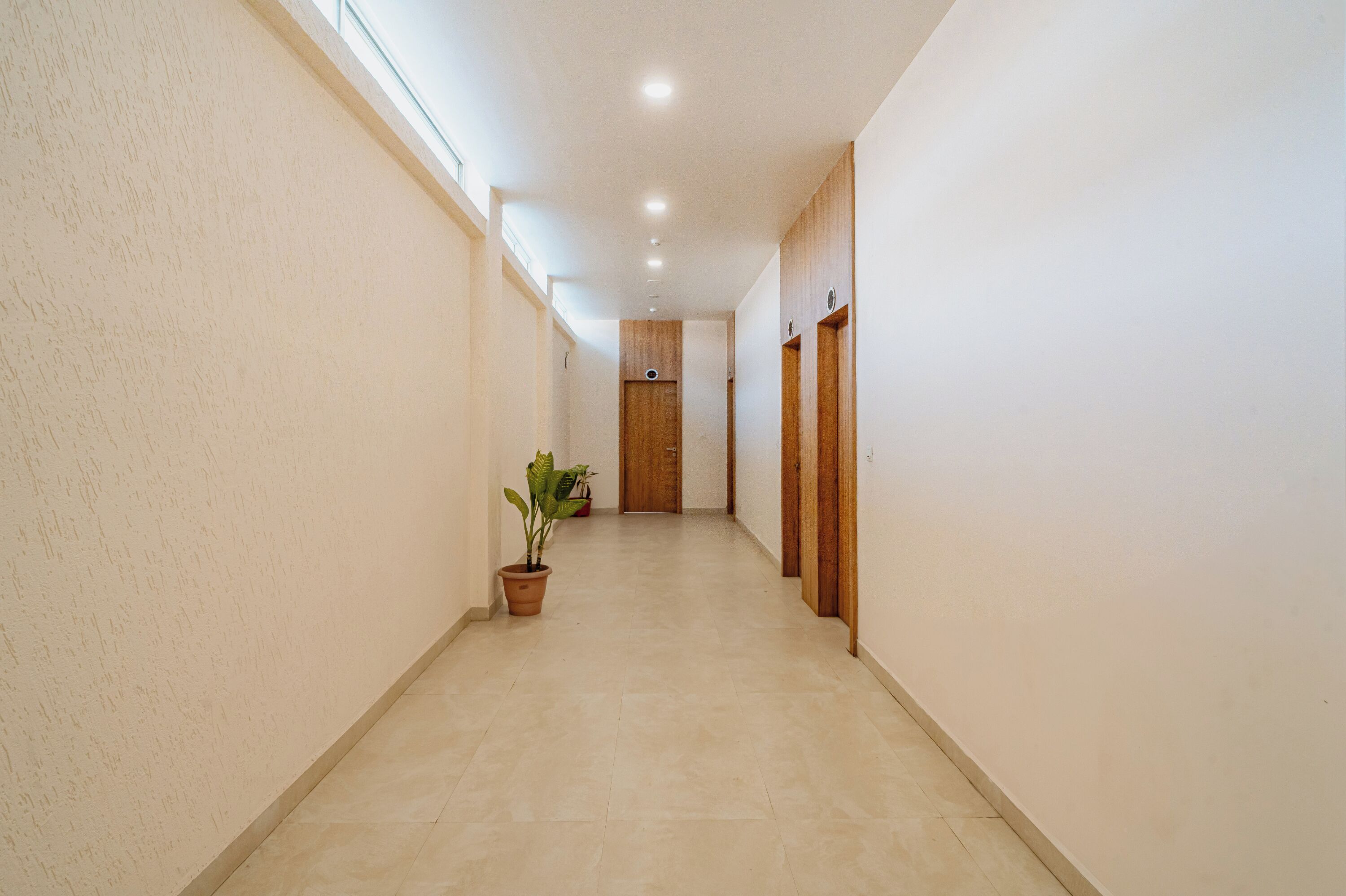 A hallway with a potted plant, wooden doors, and a tiled floor.