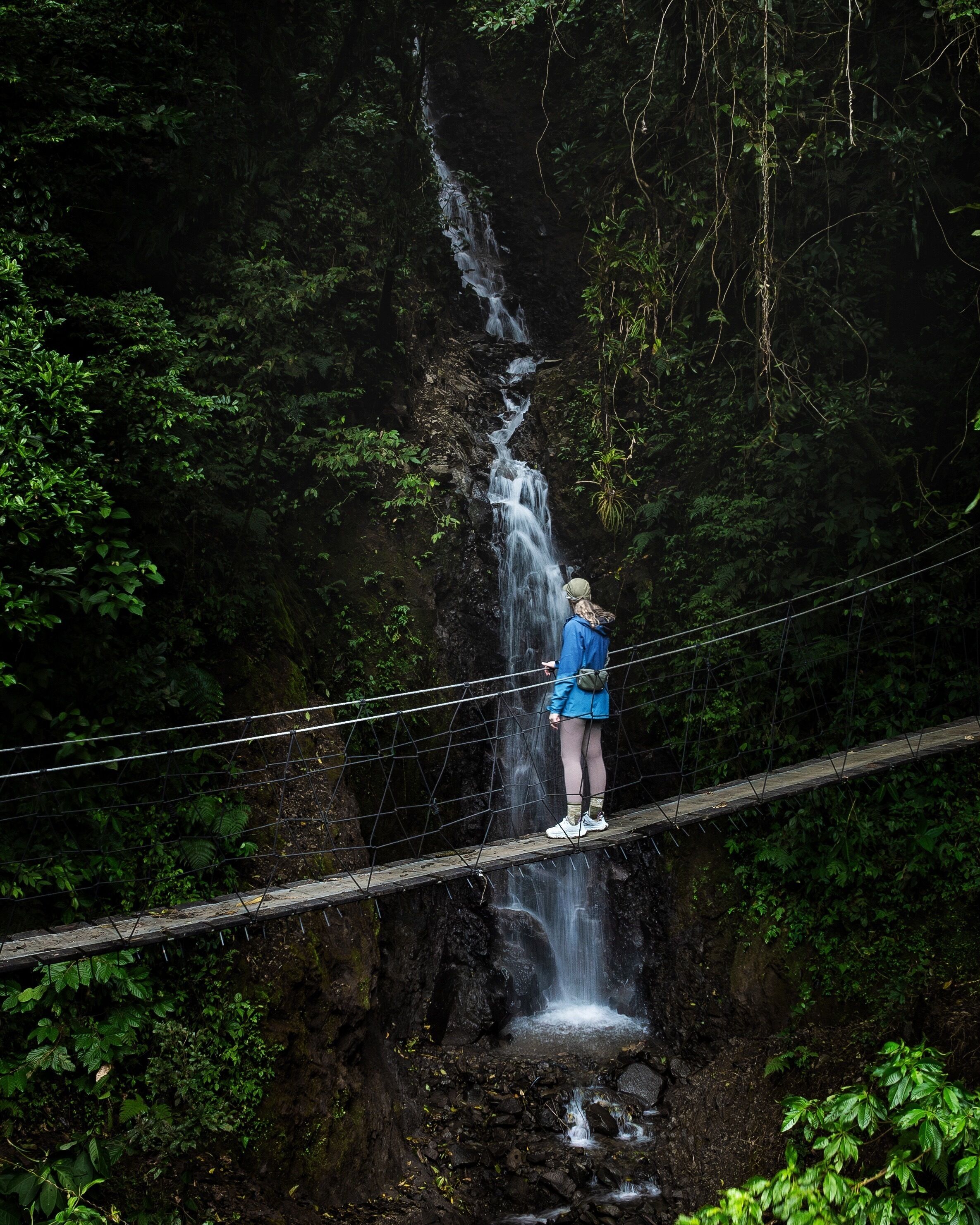 A person standing on a suspension bridge over a waterfall in a forested area.