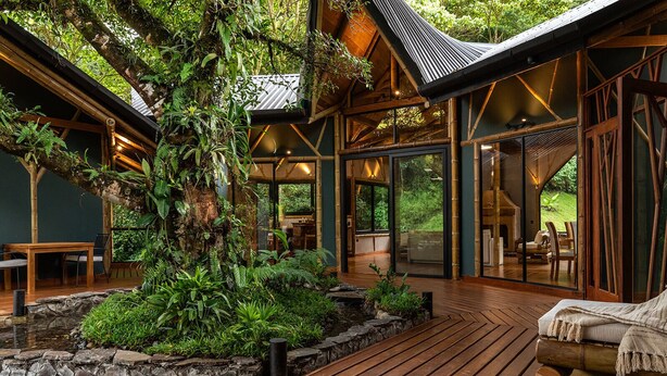 A wooden deck with a large tree and lush greenery, surrounded by glass doors leading to a dining area. - El Tigre Hideaway (Cabeceras)