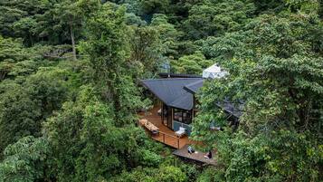 Uma casa moderna rodeada por uma floresta densa.