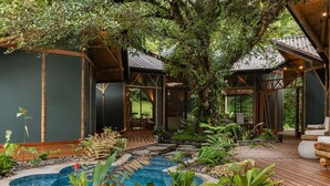 A modern outdoor pool area with a wooden deck, surrounded by lush greenery and a large tree. - El Tigre Hideaway (Cabeceras)
