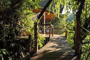 A wooden pathway leading to a covered area surrounded by lush greenery.