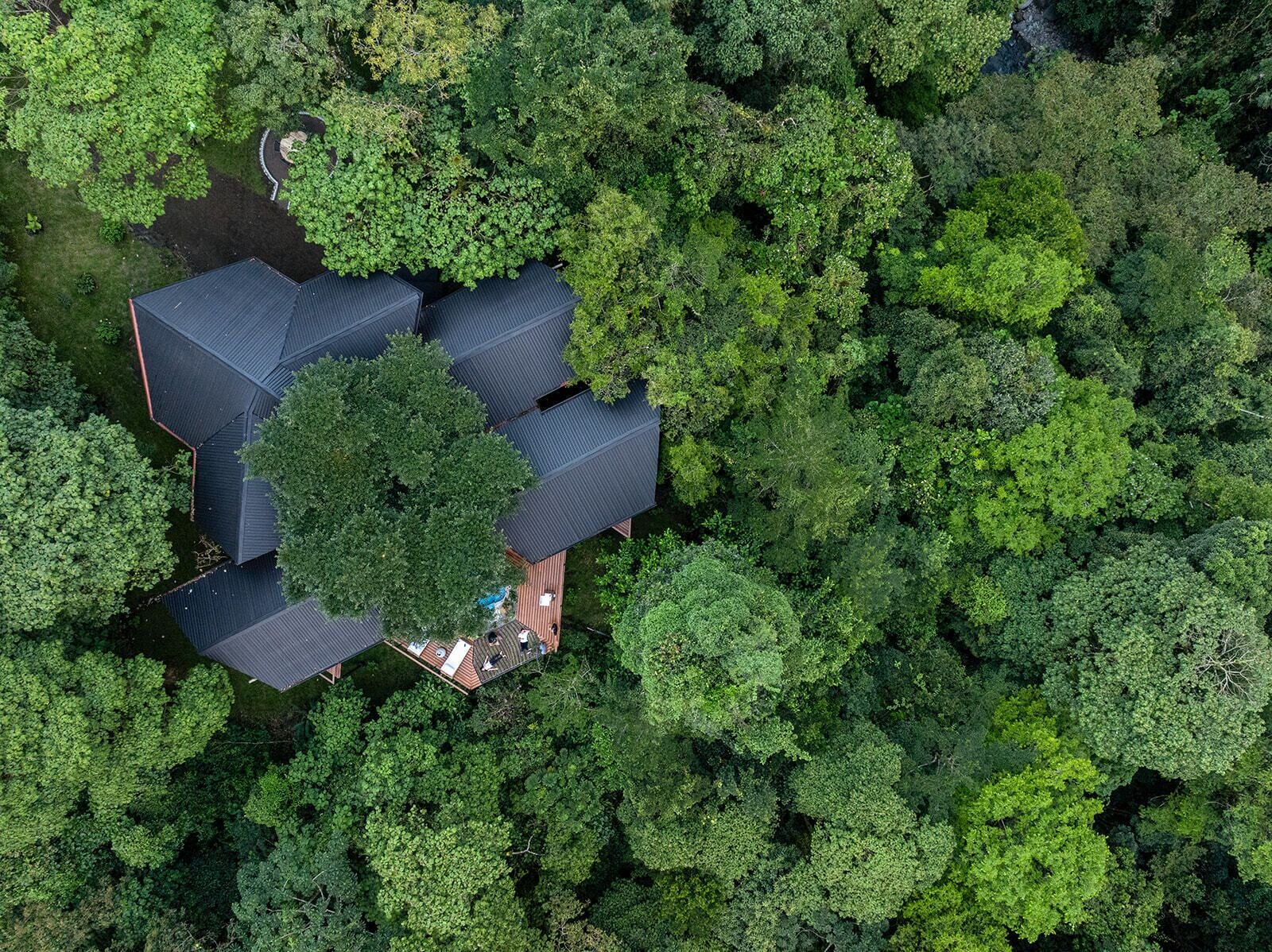 Vista aérea de una casa rodeada de un bosque denso.