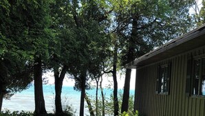 Un espace verdoyant avec un chalet en bois et une vue sur l’eau.