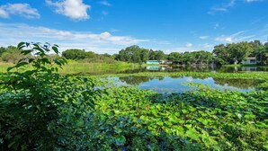 A serene lakeside view with lush greenery and a small dock. - Peaceful Lake View Retreat Near Parks 10 Minutes to Downtown (Orlando)