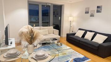 TV, DVD player, books, video library