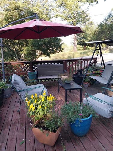 Cozy 1-bedroom apartment  in Alabaster