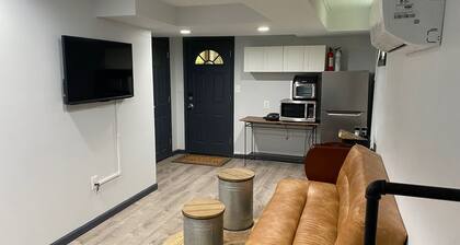 Newly Renovated Charming English Basement in Takoma on Red Line
