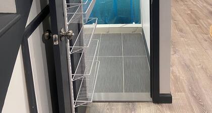 Newly Renovated Charming English Basement in Takoma on Red Line