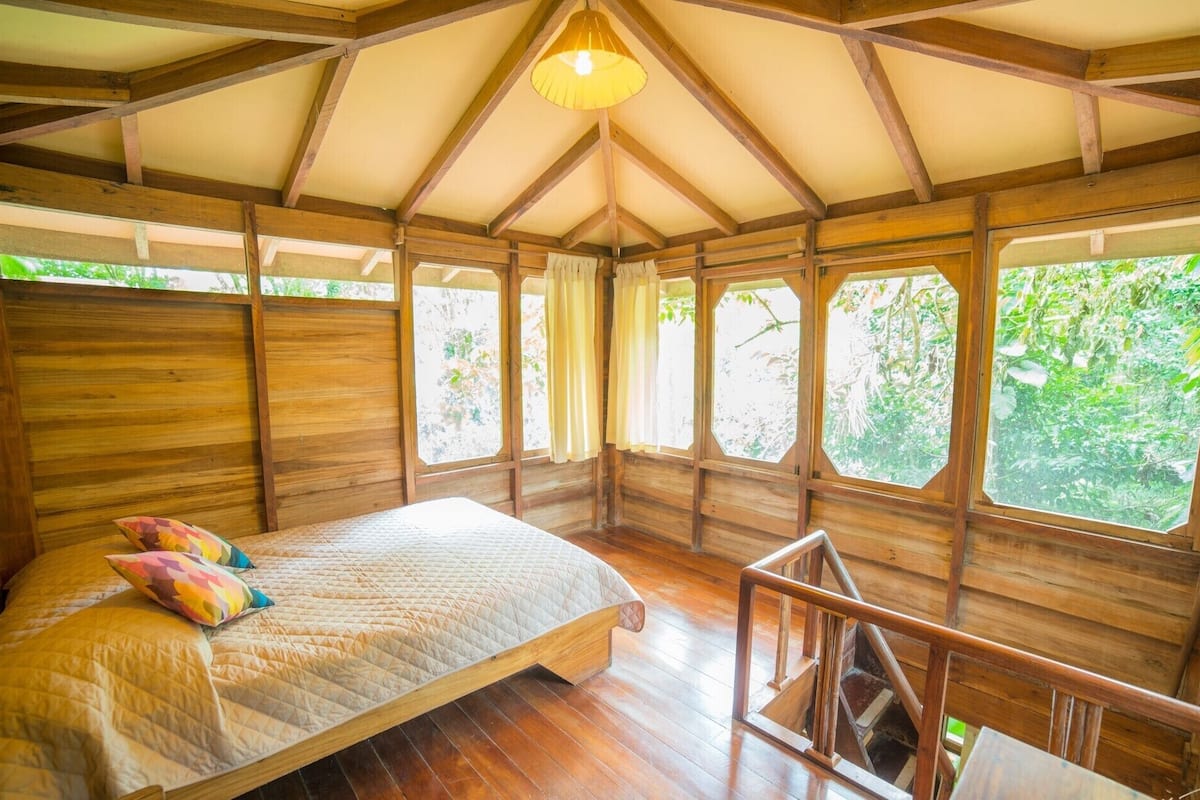Bungalow, se aceptan mascotas, vista al jardín | Vista al jardín