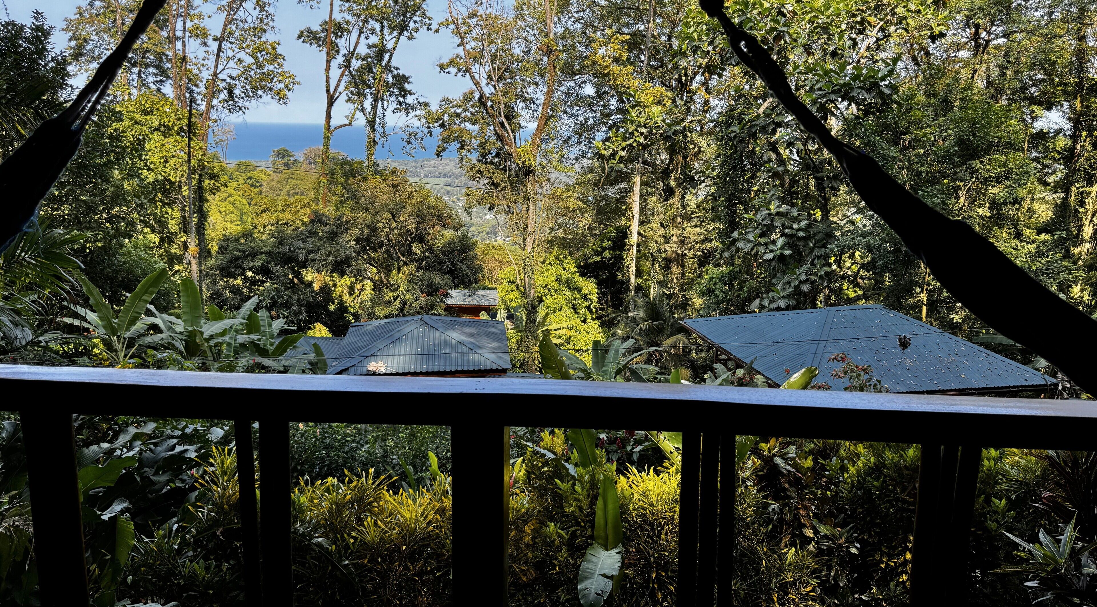 A view from a balcony overlooking a lush garden with a house in the background.