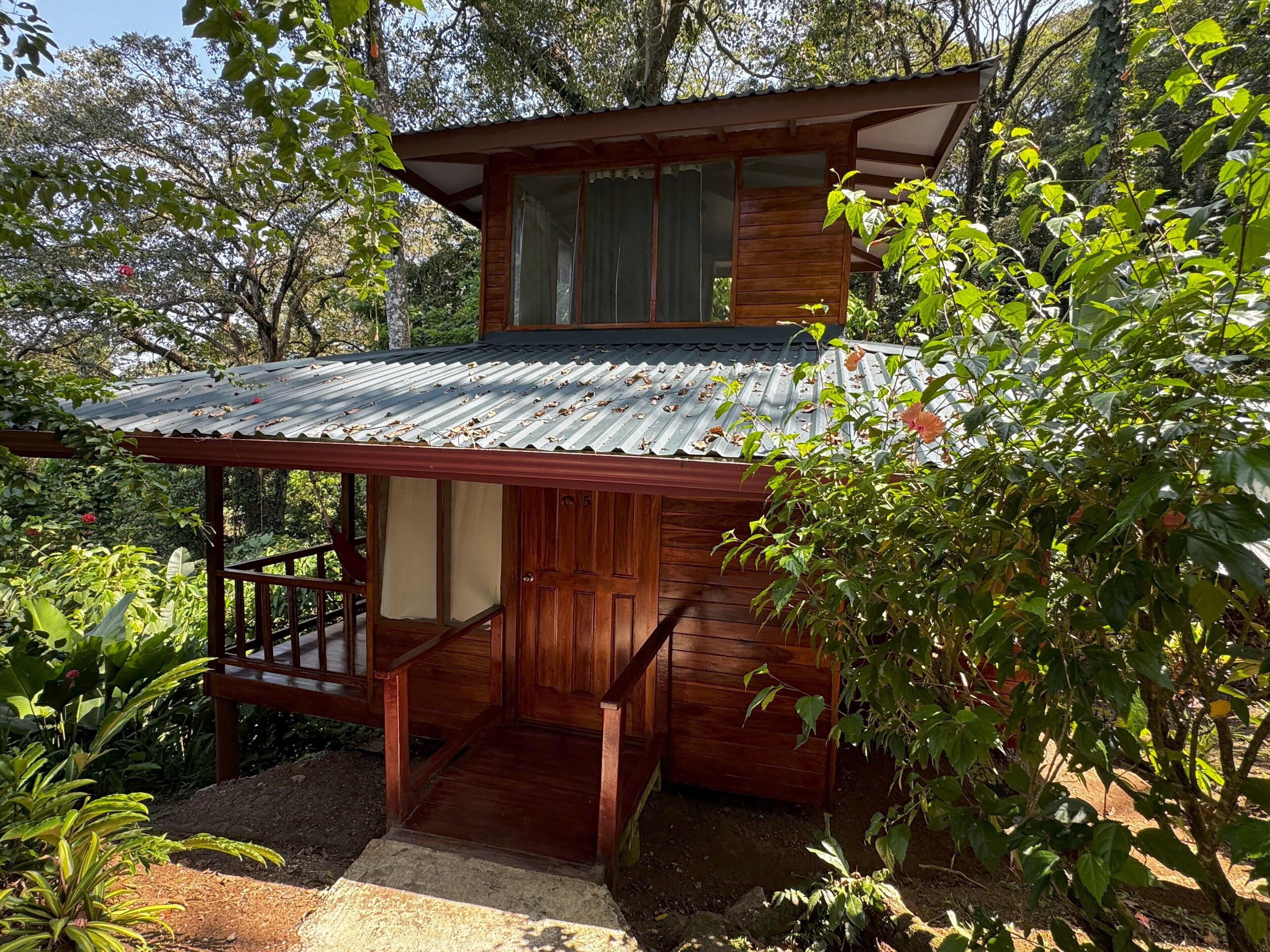 Une cabane en bois surmontée d’un toit en métal, entourée d’une végétation luxuriante.