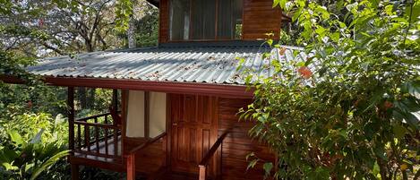 Une cabane en bois surmontée d’un toit en métal, entourée d’une végétation luxuriante.