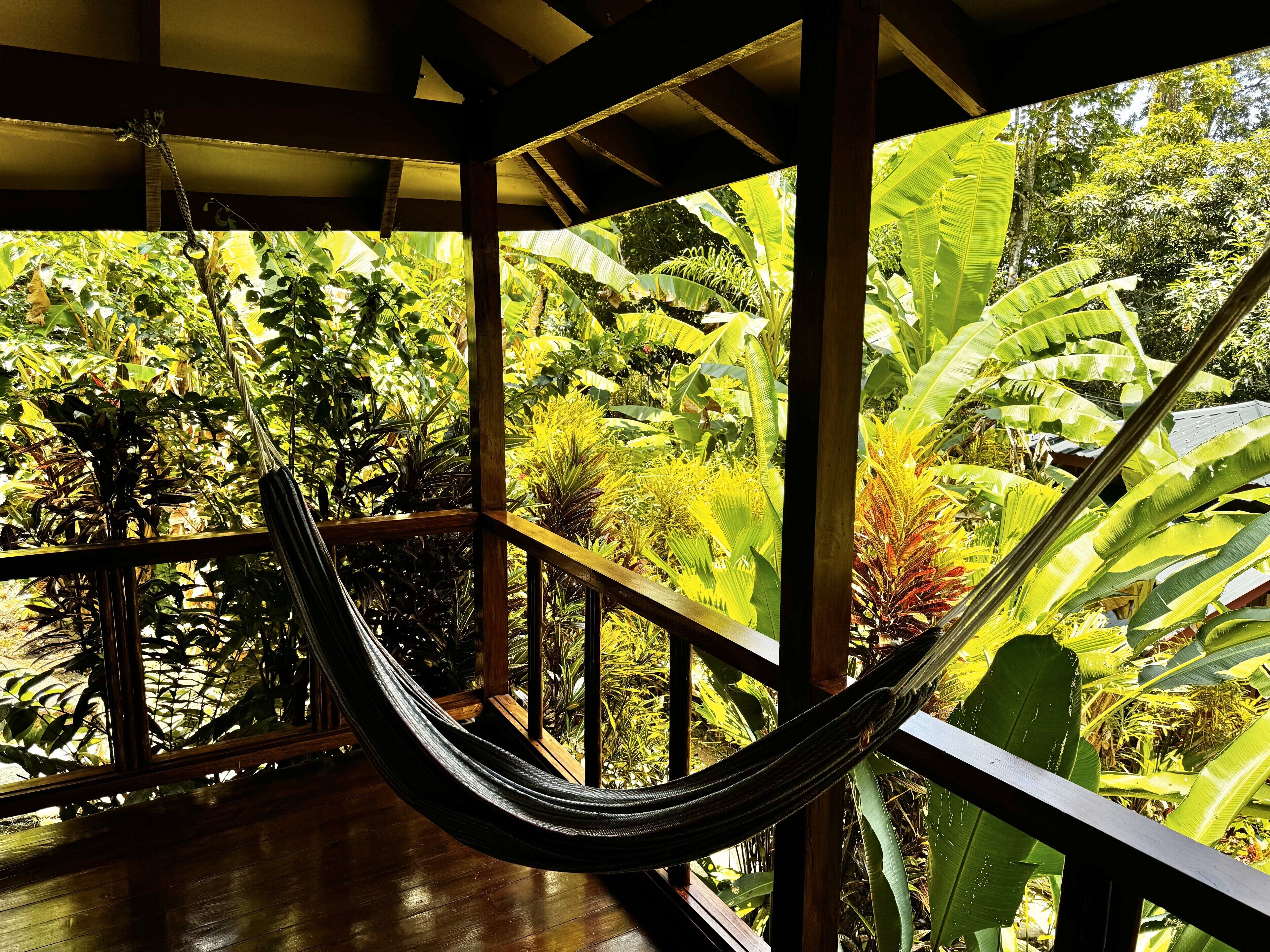 平房, 允许带宠物, 花园景观 | 露台