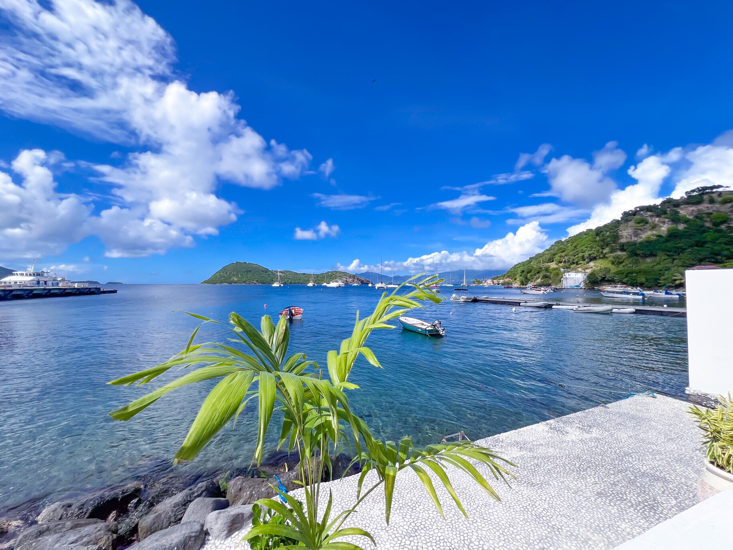 Un port de plaisance situé sur la côte, avec des bateaux, un ciel bleu dégagé et une rive rocheuse bordée de végétation.