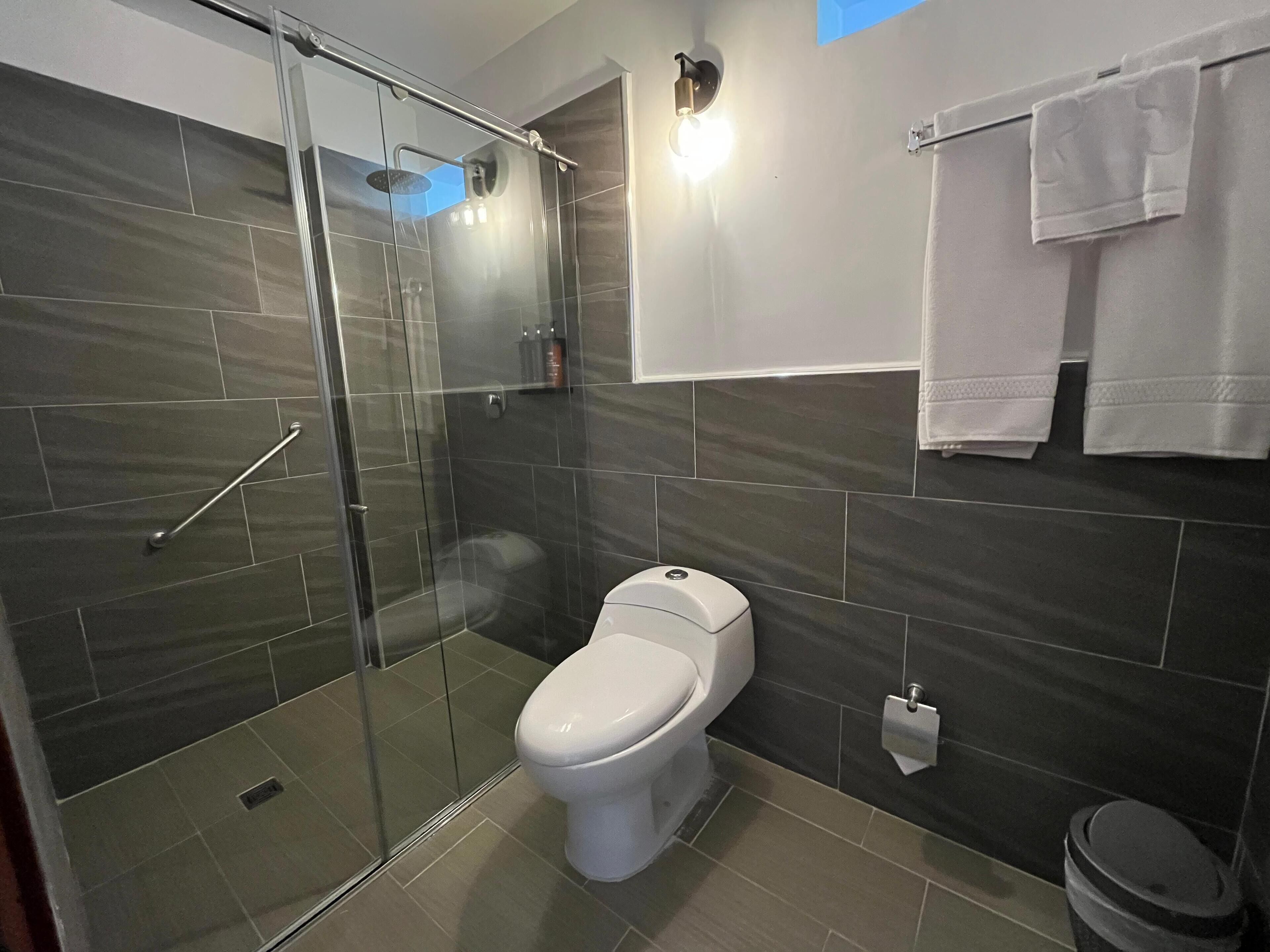 A modern bathroom with a glass-enclosed shower, a white toilet, and a towel rack.