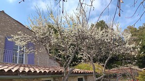 A stone building with a tiled roof, a tree with white blossoms, and a clear blue sky. - Mas des Louquiers (MONS)