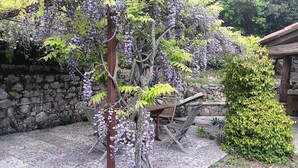 A garden with a stone wall, a wooden bench, and a small tree. - Mas des Louquiers (MONS)