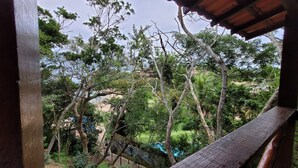 Une vue depuis un balcon en bois donnant sur un jardin luxuriant, avec différents types d’arbres et un ciel dégagé.