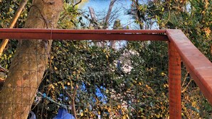 Une vue à travers une branche d’arbre, avec une clôture métallique en premier plan, donnant sur une étendue d’eau et une côte rocheuse.