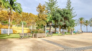 A paved walkway with benches and trees. - Ribas Machico, a Home in Madeira (Machico)