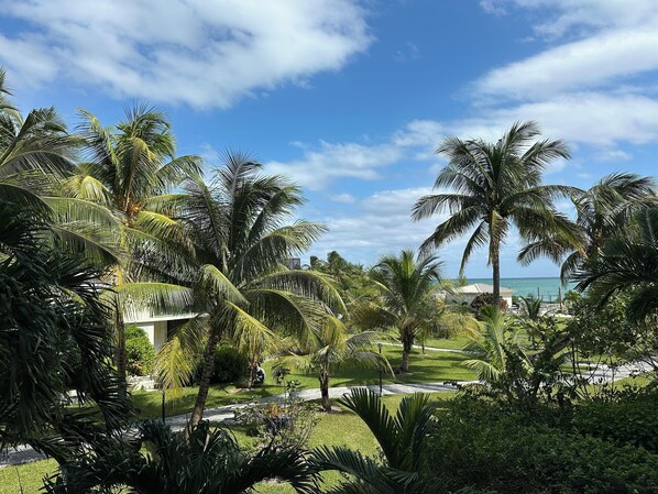 Property grounds - Palm Tree Cove - Stunning Partial Ocean Views; Beachfront Location! (Freeport)