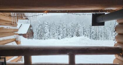 Sauna | Yoga/Work-Out Space |Pet Friendly | Wi-fi