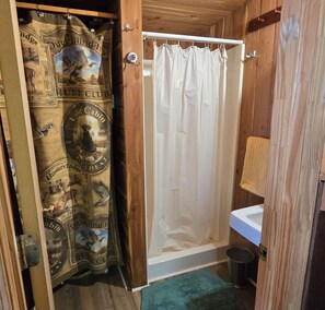 Shower, towels, soap, toilet paper