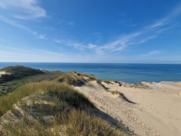 Beach - 5 Star Holiday Home in Lokken (Lokken)