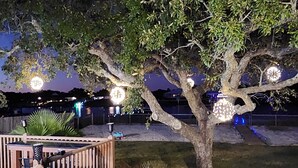 A nighttime outdoor area with a wooden deck, a tree with hanging lights, and a small pond.
