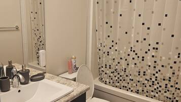 Hair dryer, towels, soap, toilet paper