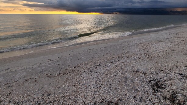 Una playa con piedras y olas al atardecer.