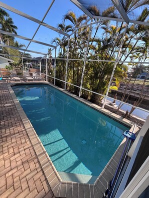 A swimming pool with a tiled edge, surrounded by lounge chairs and palm trees, under a covered area.