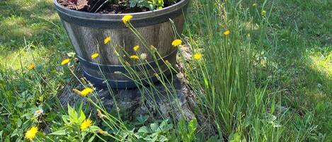 Áreas de la propiedad