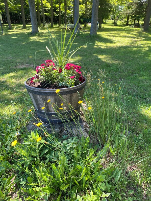 Jardines del alojamiento