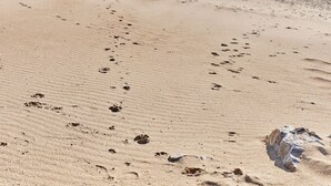 A sandy beach with footprints and a rock formation.