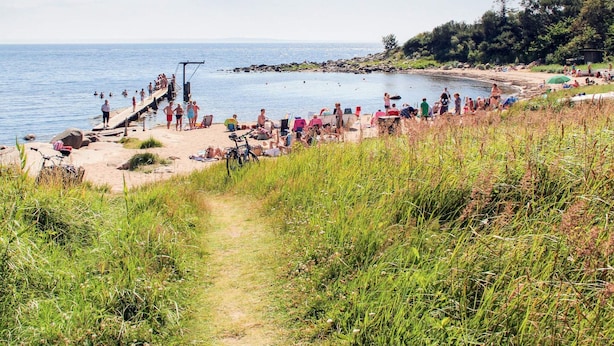 A beach with a rocky shoreline, a wooden pier, and people enjoying the water. - 4 Star Holiday Home in Halmstad (Halmstad)