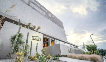 A modern building with a large glass facade, a cactus garden in front, and a sign with Chinese characters.