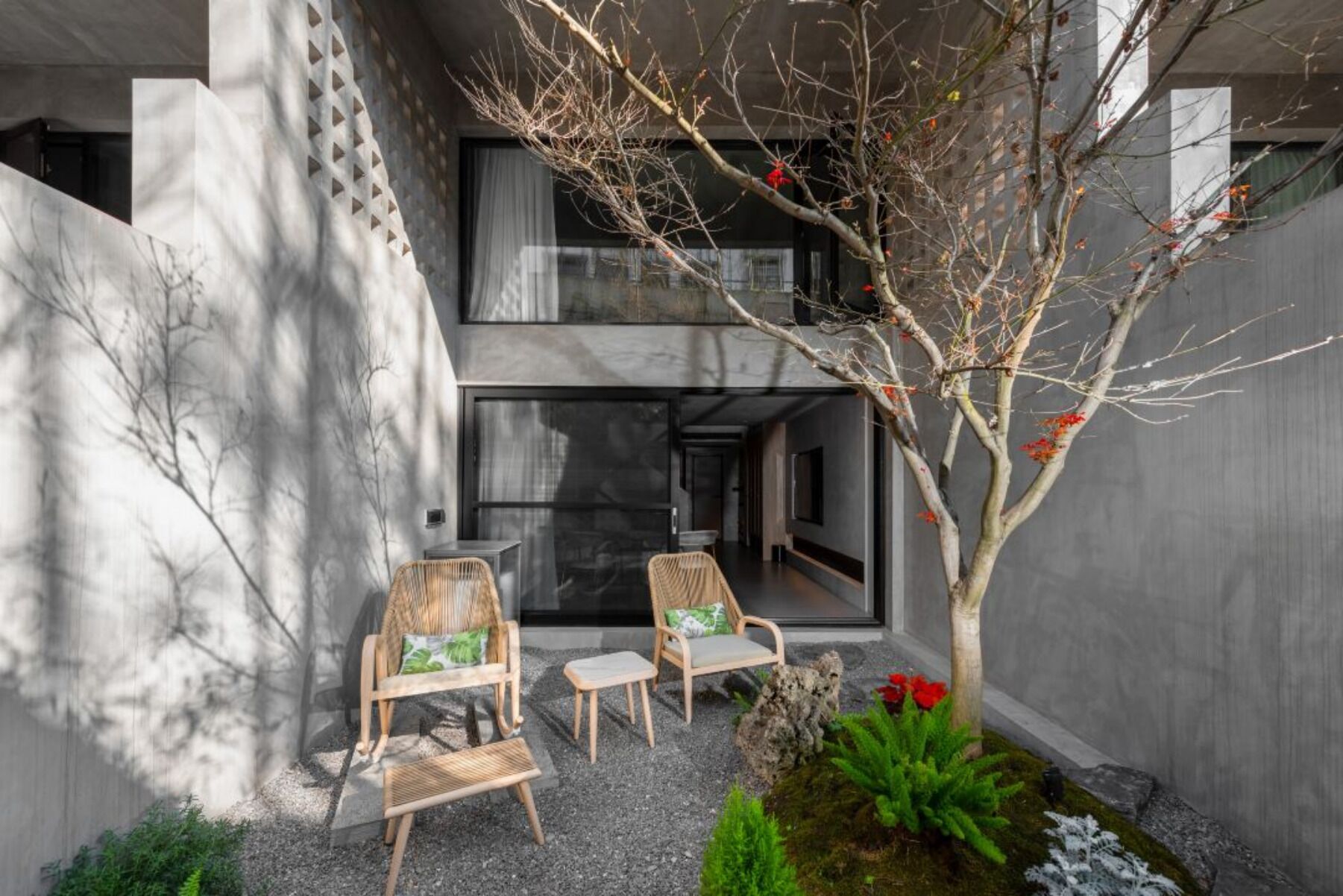 Un área de estar moderna al aire libre con dos sillones de mimbre y una mesita, rodeada por un jardín minimalista con un árbol y diversas plantas.