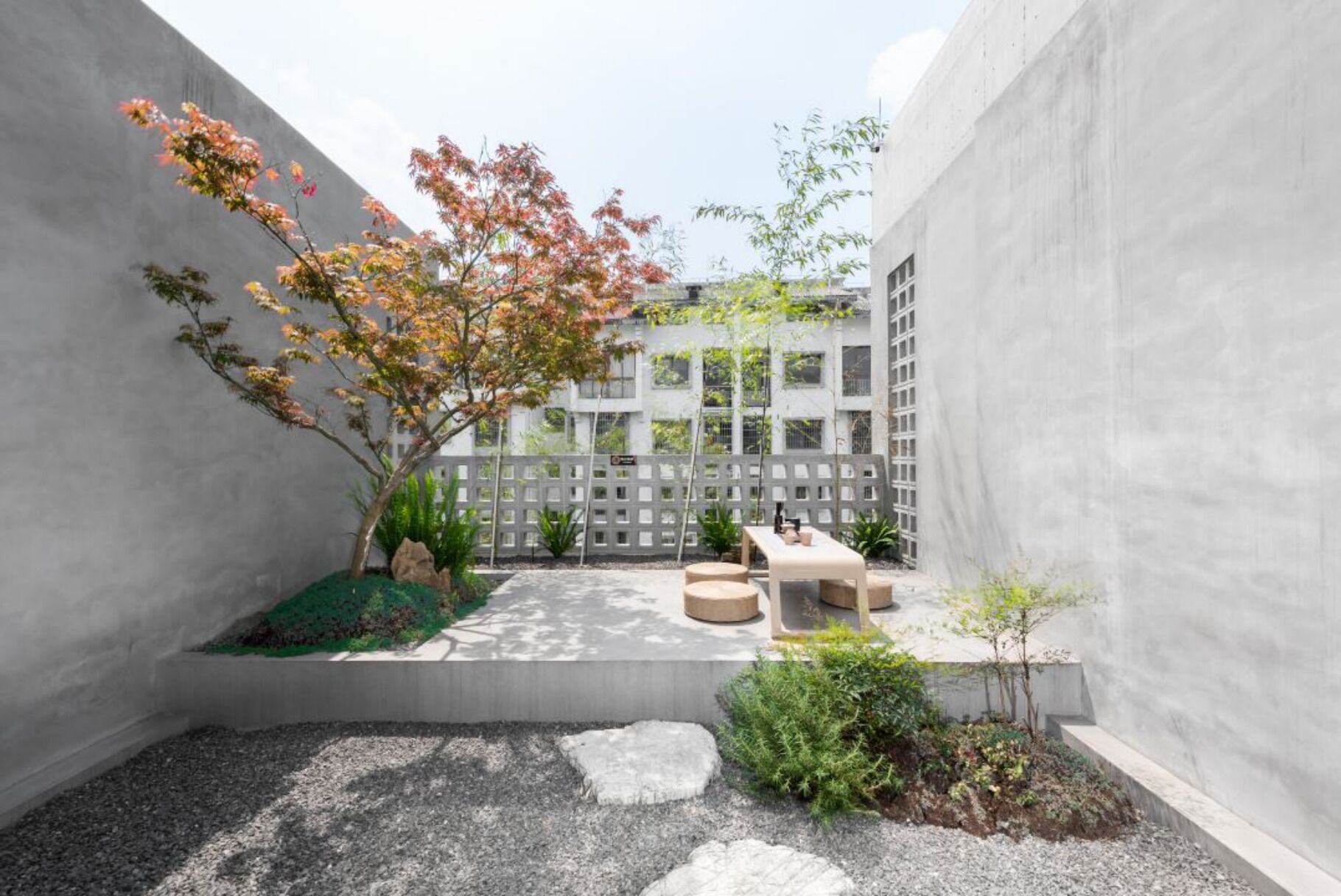 Un patio con zona de estar, un árbol y un edificio al fondo.