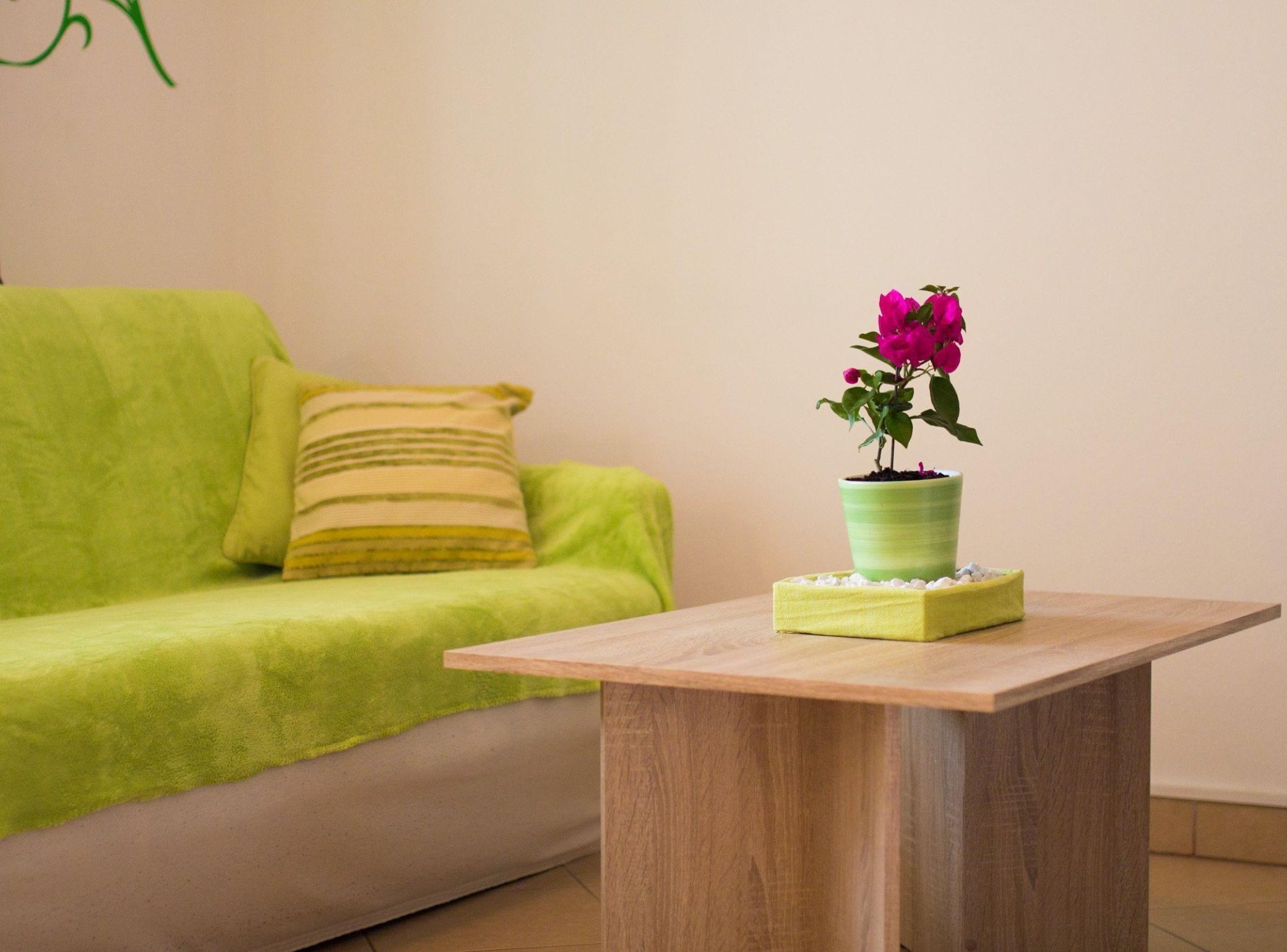 公寓 (Two Bedroom Apartment with Terrace) | 客厅 | 32-英寸纯平电视（配备有线频道）