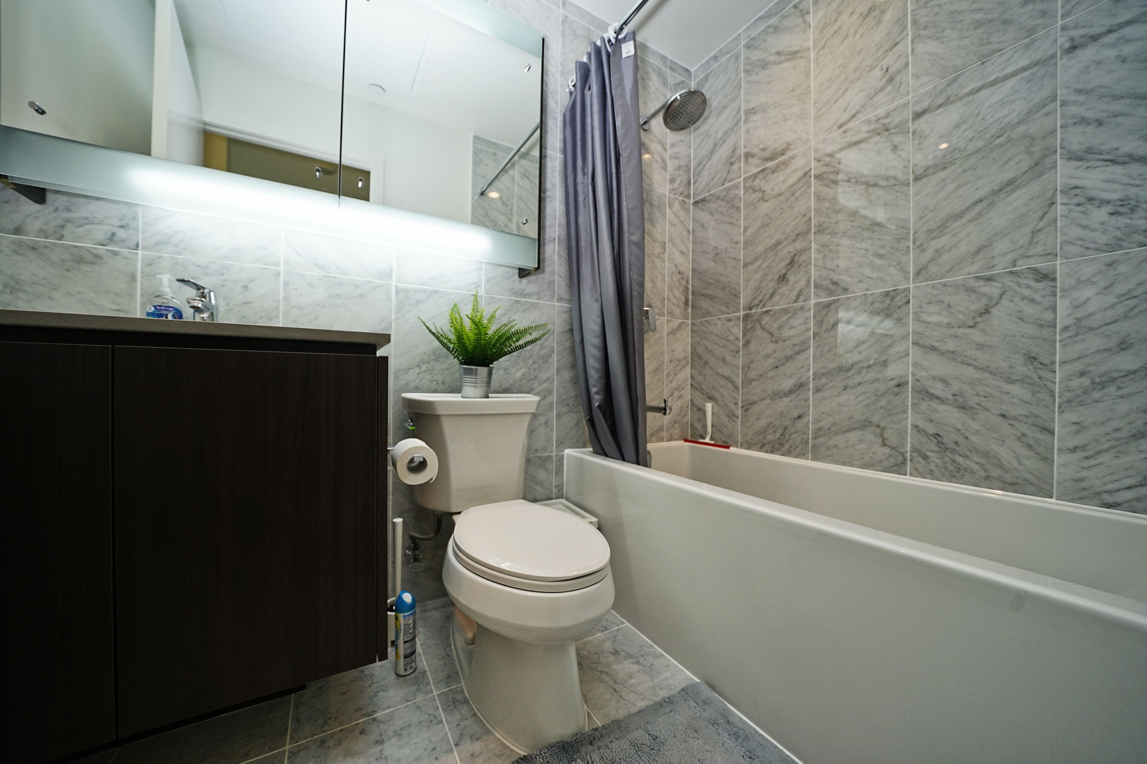 Căn hộ cơ bản | Phòng tắm | Vòi sen/bồn tắm kết hợp, máy sấy tóc, khăn tắm, xà phòng 