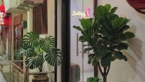 Un hotel con un letrero de neón que dice Butterfly Inn, acceso a Wi-Fi y una escalera adornada con plantas en macetas.