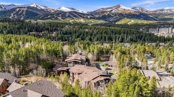 A residential area with houses surrounded by dense forest and mountains in the background.
