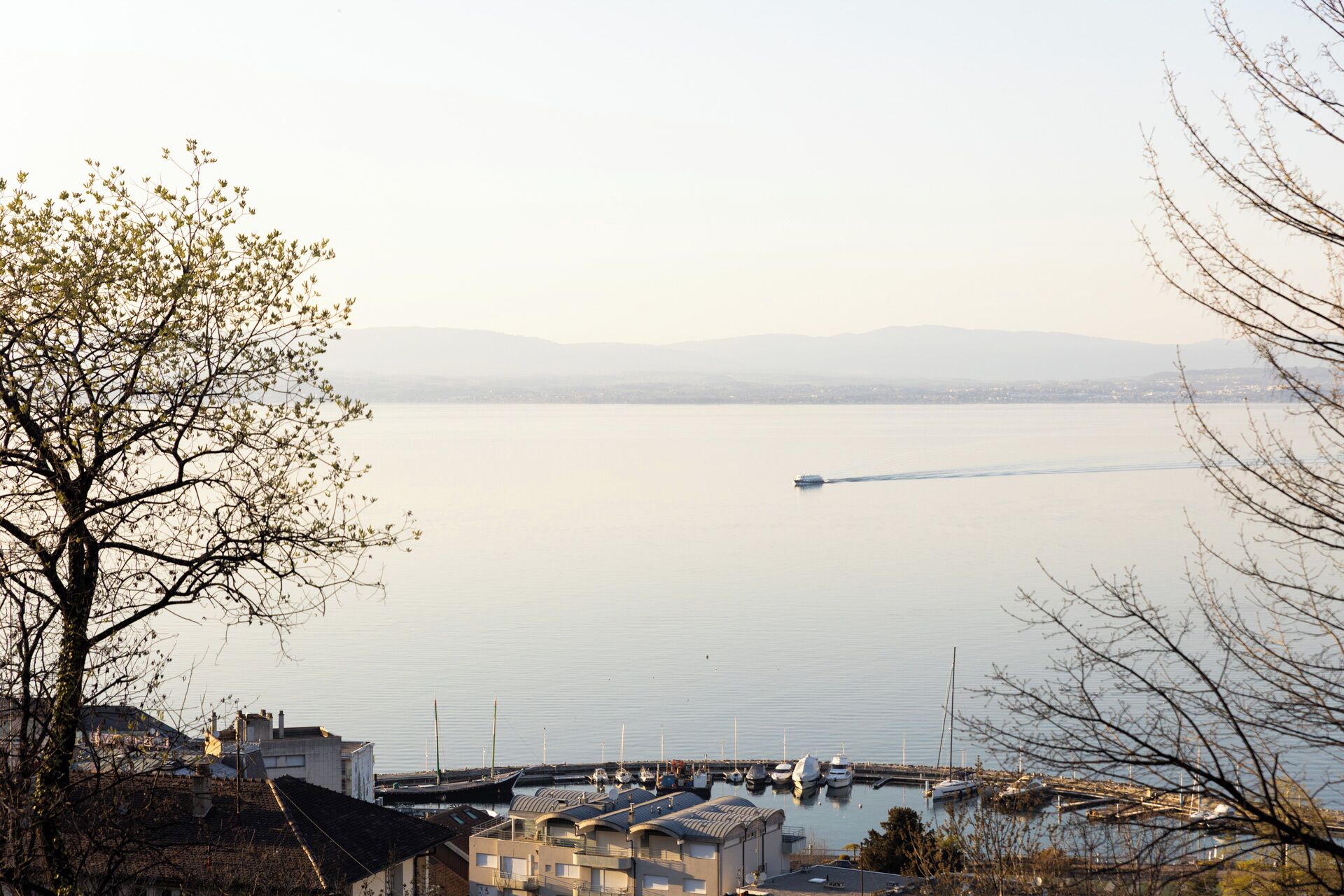 Un puerto deportivo con barcos amarrados, vista despejada del agua y un paisaje urbano distante.