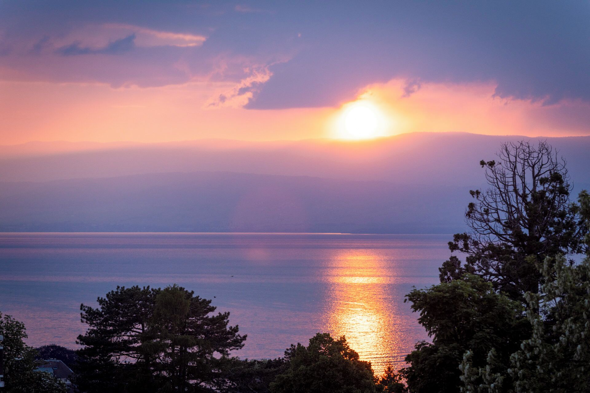 أسرّة أطفال/رضّع (مجانًا) وملاءات أسرّة