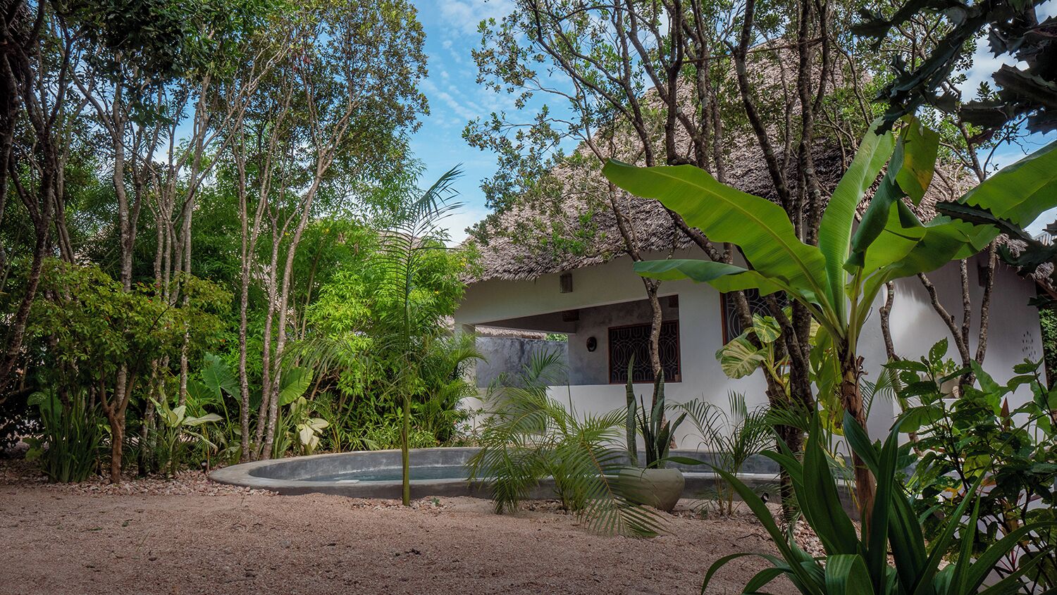 A house surrounded by dense tropical vegetation, with a thatched-roof structure and a dirt ground.