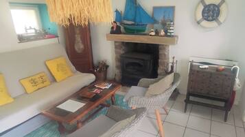 TV, fireplace, books